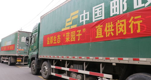 郵政業全力以赴抗擊疫情