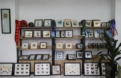 擔(dān)得起“新文藝群體”的分量 王世宏談文藝創(chuàng)作與開發(fā)